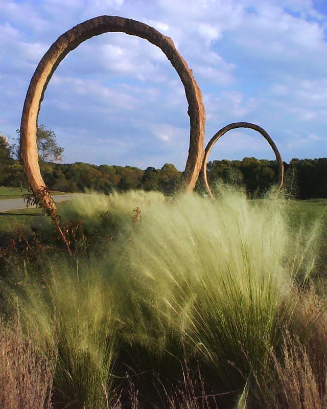 101103 – Chapel Hill