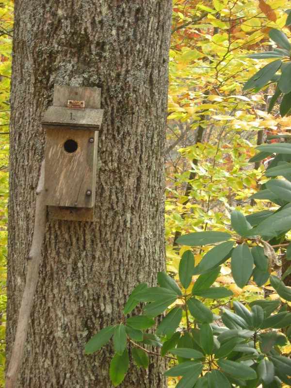 101016 – off the grid in Vermont