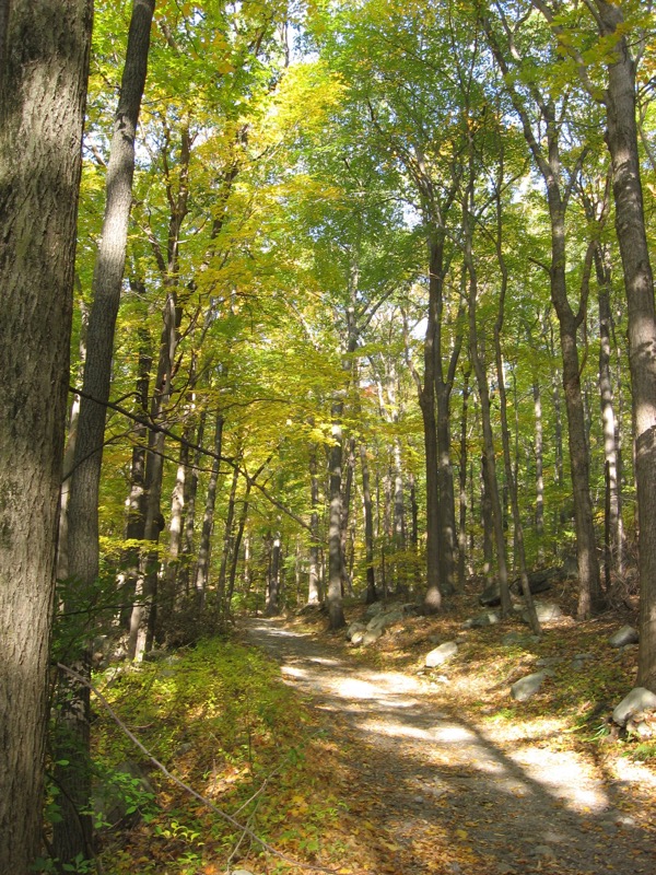 101022 – weekend with Dylan and the fall-seeking New Yorkers