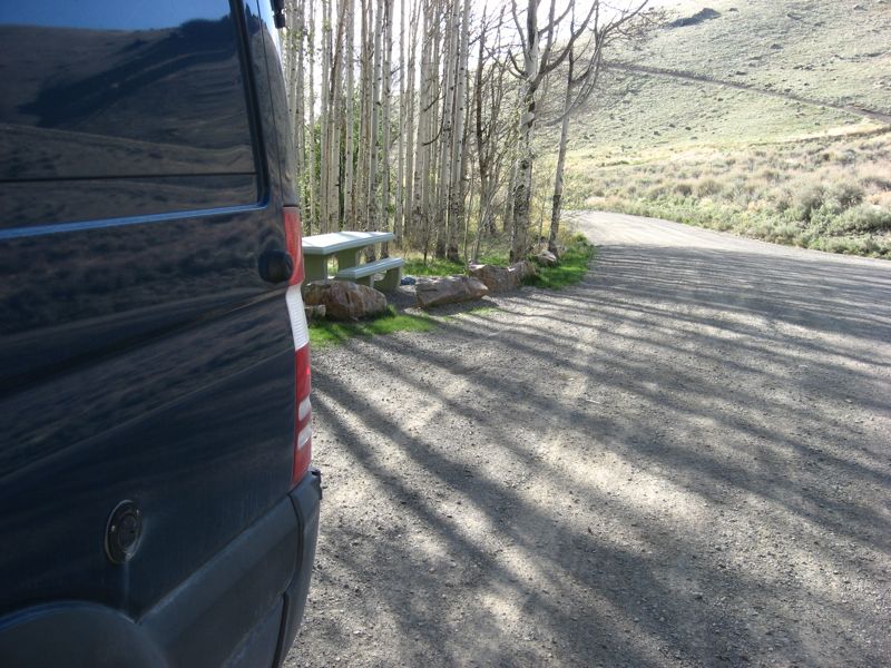 Springtime in Nevada