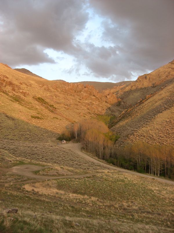 Springtime in Nevada