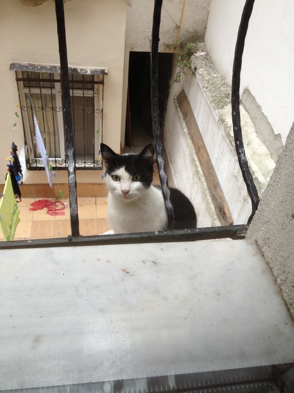 Istanbul, fancy hotel part