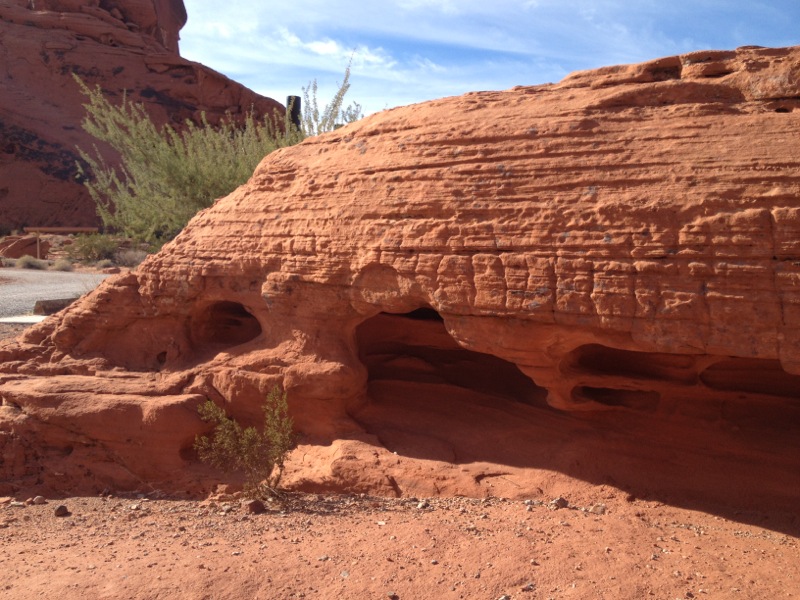 Misdirection Trip – Desert