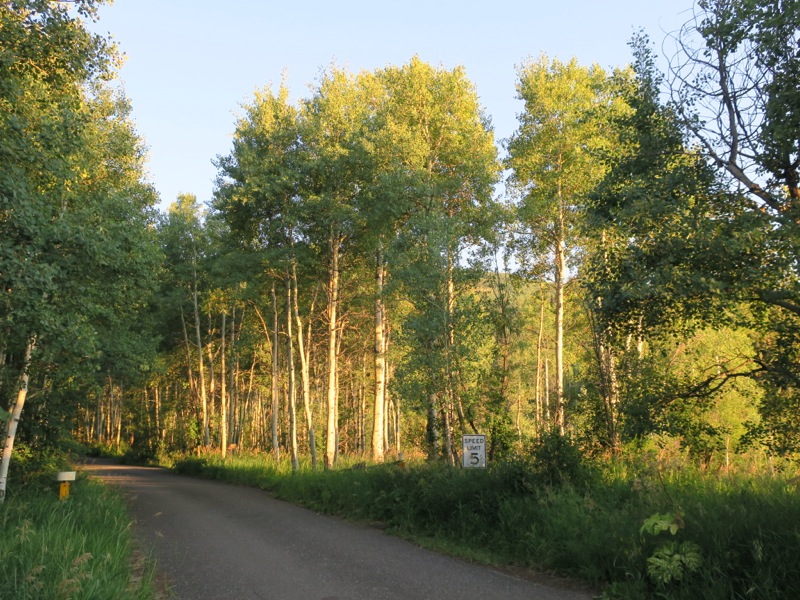 Making my slow way to Aspen