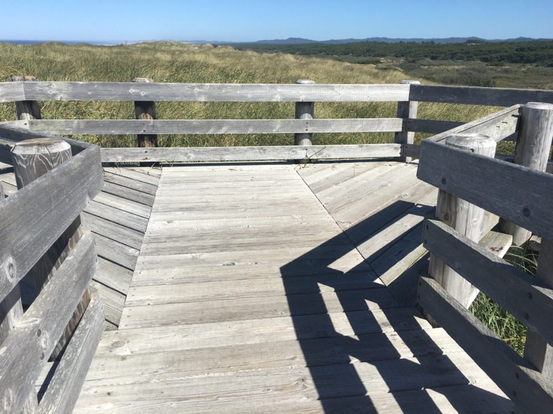 Treat myself to some beach days