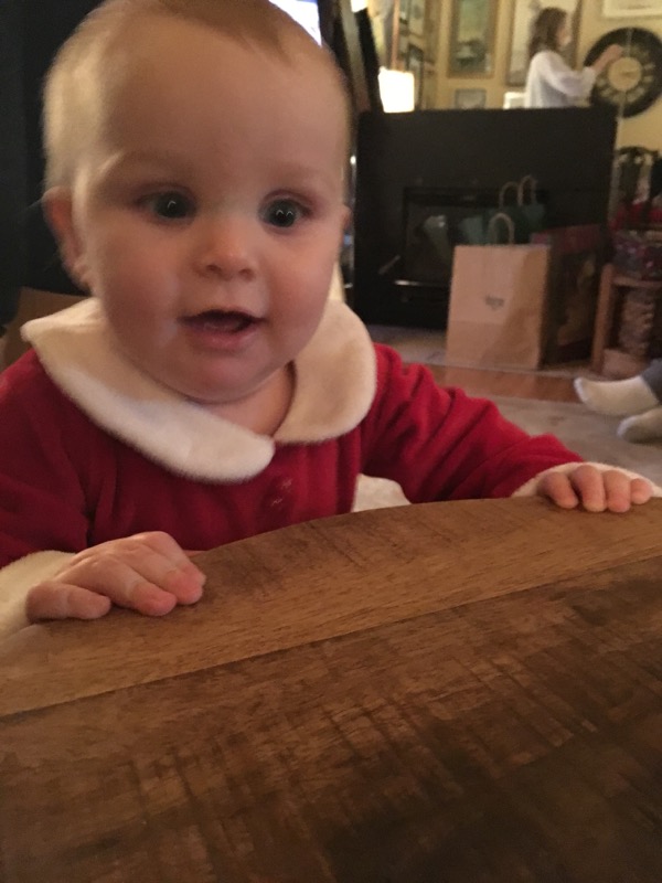 Dec 2016 Christmas Visit