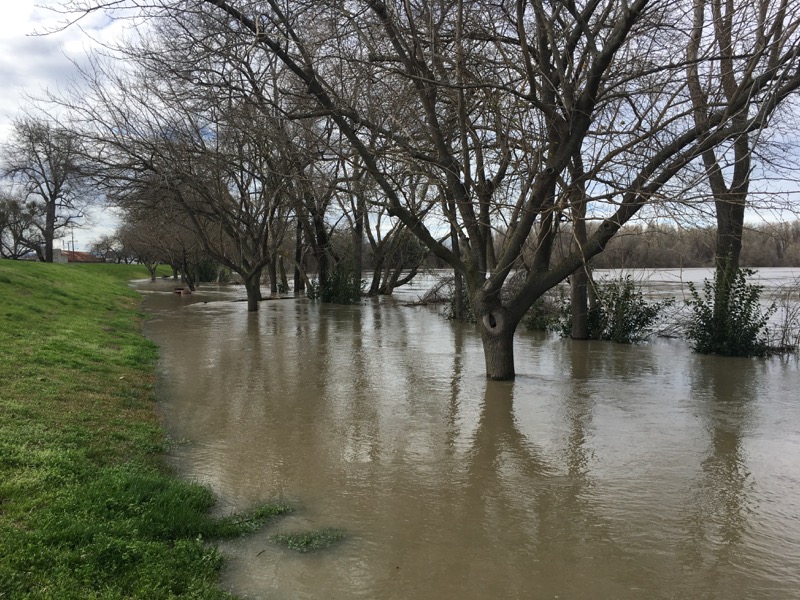 Feb 2017 – Floods and Family