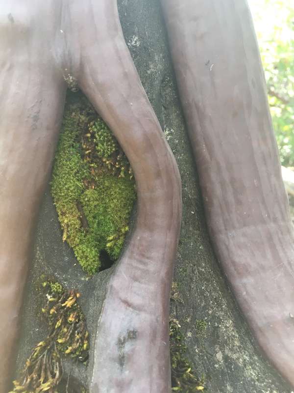 April 2017, Family and Basketball