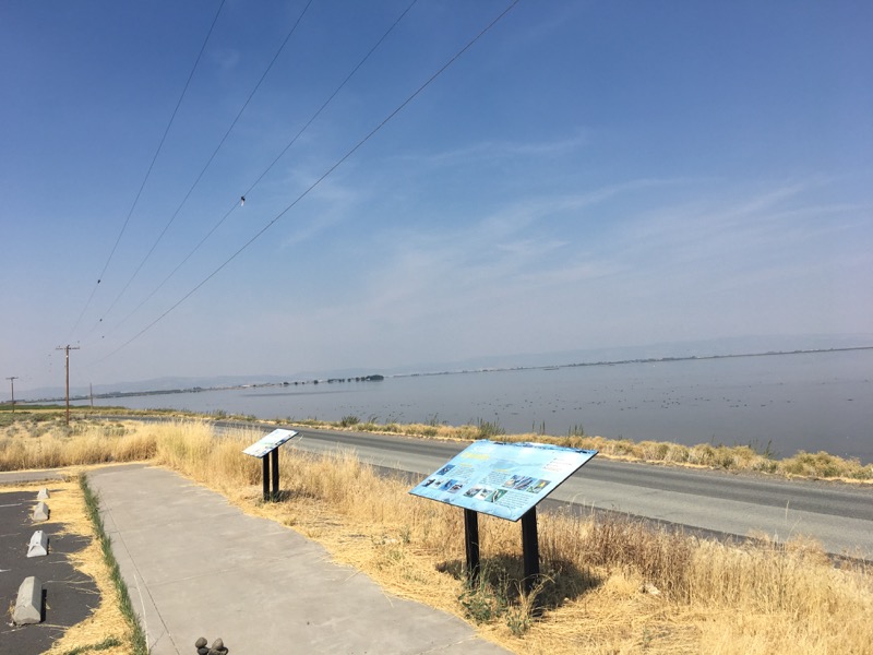 Forest Fires everywhere and the Eclipse