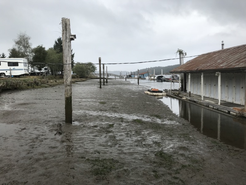 Up the Pacific Coast