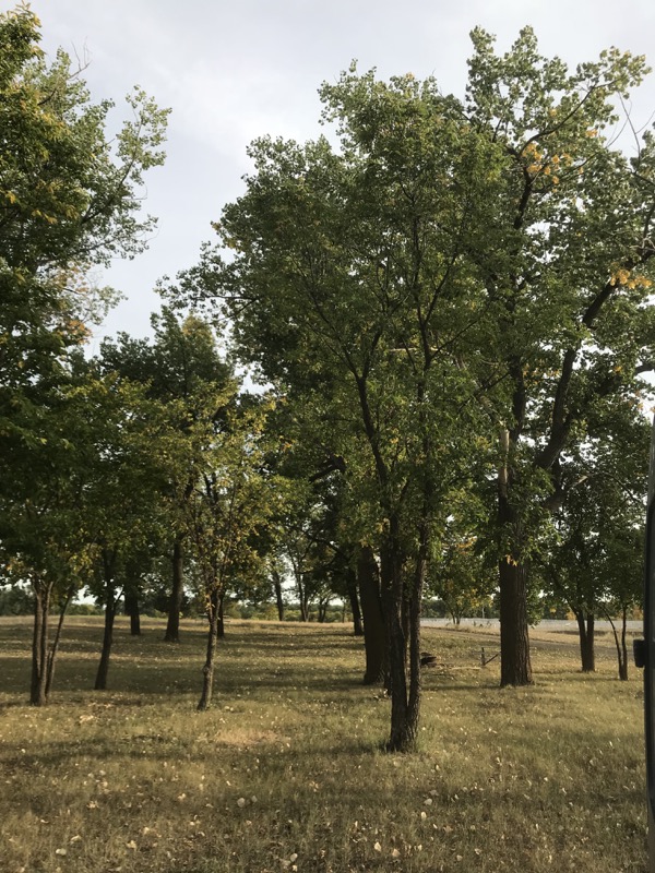 Every Place Is A Fort – Peck, Buford, Mandan …