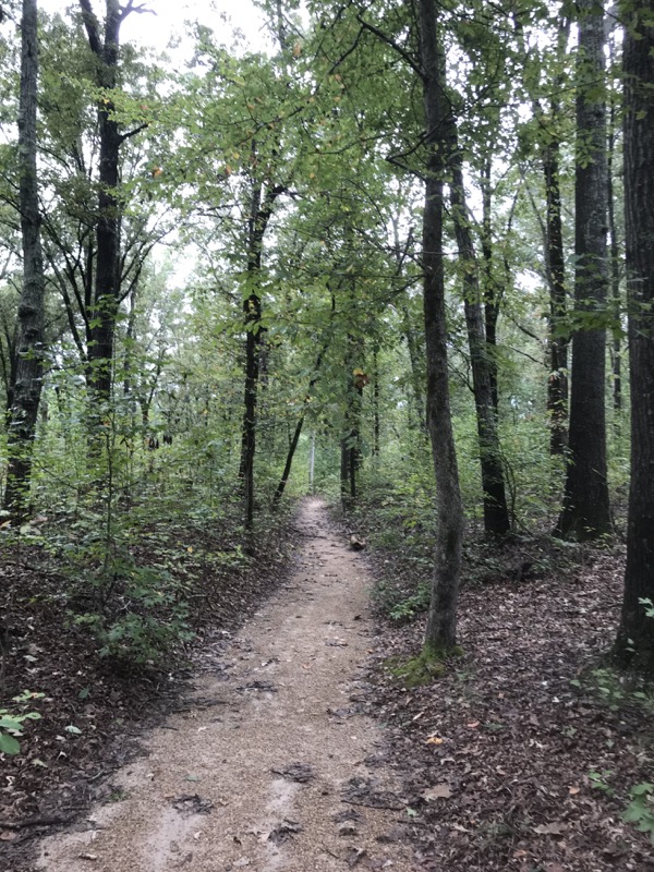 When does the South get Deep?