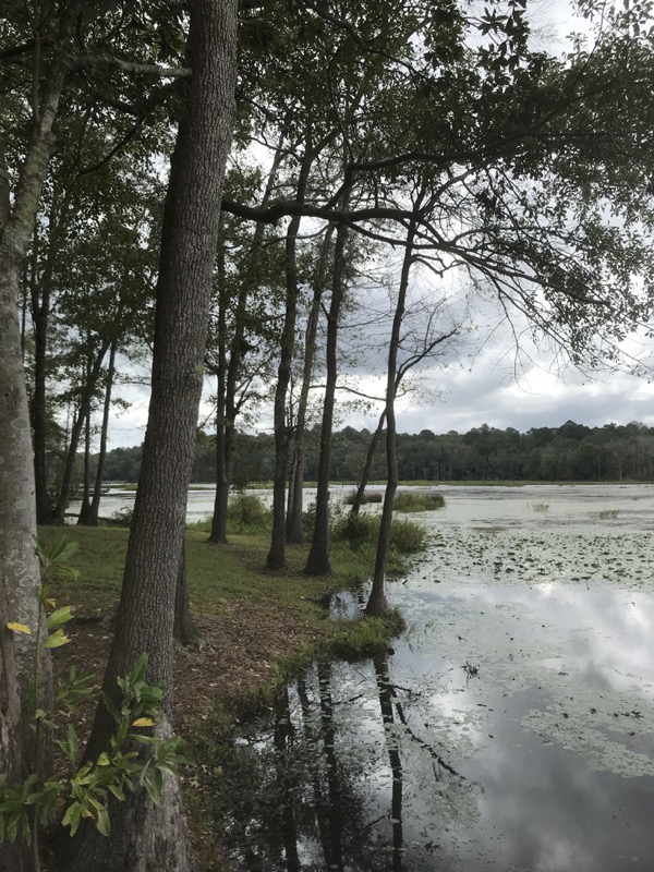 The visiting part of the trip