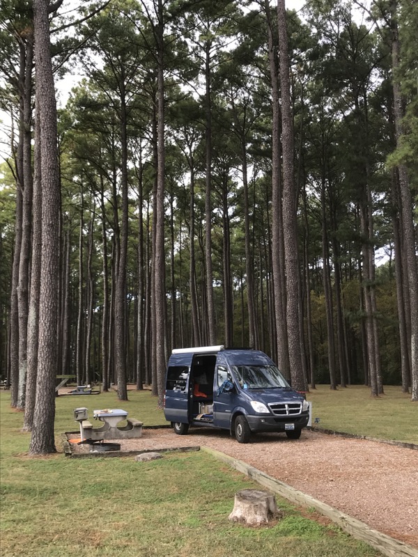 Natchez Trace and the Delta