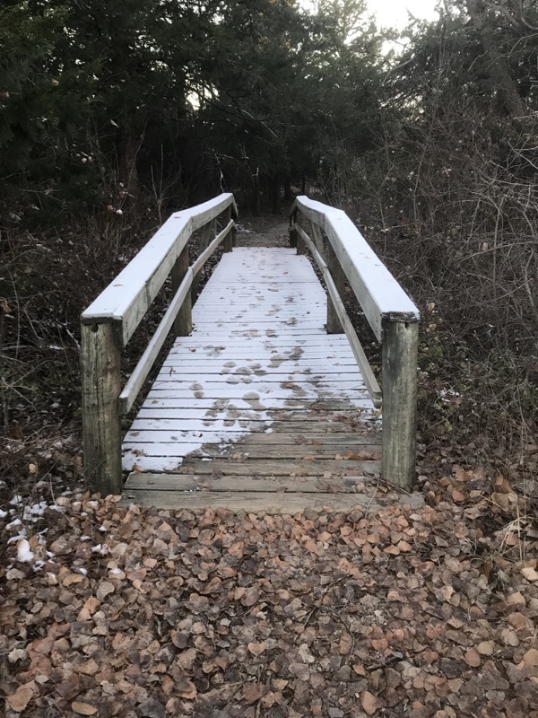 A cold snap in Oklahoma changes my thinking