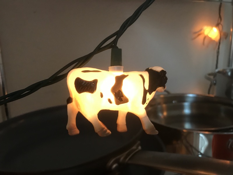 The Family Part of the Trip