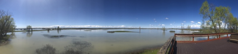 The Camping Part of the Trip