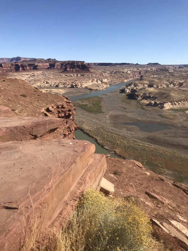 Good Weather and Bad Chicken