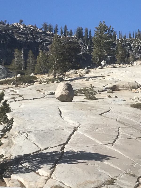 Up 395 and over Yosemite to Family Time